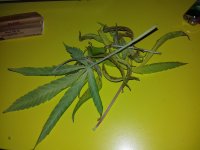 20180221_090119.jpg