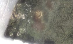 IMAG0353.jpg