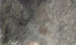 IMAG0354.jpg