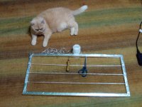 Васечек (85).jpg