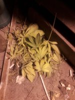 20180222_234341.jpg