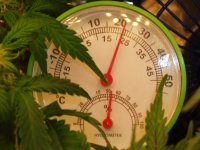 Цвет термогигрометр 22.02.JPG