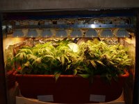 Цвет термогигрометр 22.02 а.JPG