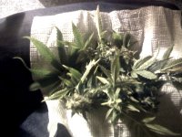 vlcsnap-00003 копия.jpg