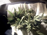 vlcsnap-00004 копия.jpg