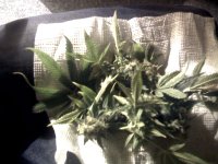 vlcsnap-00005 копия.jpg