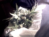 vlcsnap-00006 копия.jpg