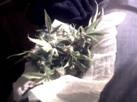 vlcsnap-00007 копия.jpg