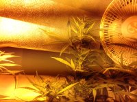 20180225_164843.jpg