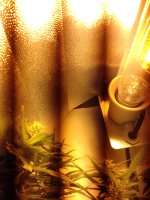 20180225_165009.jpg
