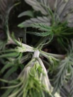 2018-02-25 19-04-14.JPG