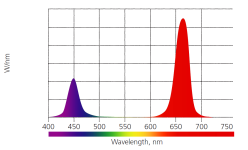 icpm5w.jpg icpm5w.jpg