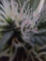 20180228_105603.jpg