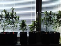 20180228_134235.jpg