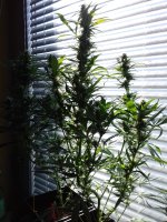 20180228_132413.jpg