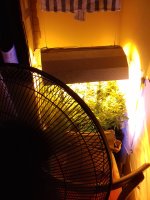 20180301_165218.jpg