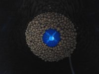 2018-02-28 10.30.52.jpg