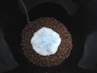 2018-02-28 10.31.09.jpg