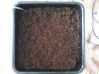 2018-02-28 11.21.47.jpg