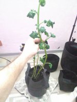 image-0-02-05-8cad8bce662542d4d53996afebb67e5fa3059aec044d9fbdd6b80f8e7d289486-V.jpg