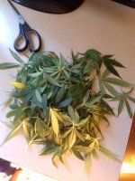 20180304_111441.jpg