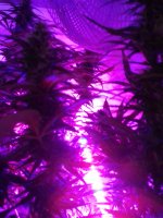 20180304_112306.jpg