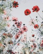 1518956938_ohgqrdqdi1a.jpg