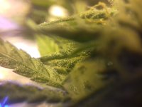 20180304_172755.jpg