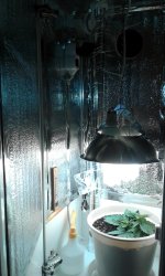 20180307_083119.jpg