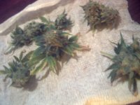 vlcsnap-00008 копия.jpg