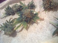 vlcsnap-00005 копия.jpg