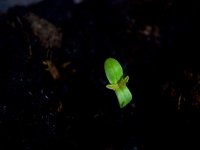 vlcsnap-00001 копия.jpg