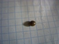 vlcsnap-00002 копия.jpg