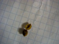 vlcsnap-00003 копия.jpg