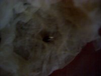 vlcsnap-00002 копия.jpg