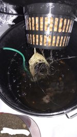 IMG_20180310_212651.jpg