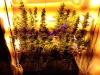 20180311_191528.jpg