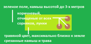 lun.png