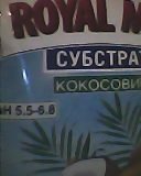 IMG0008A.jpg