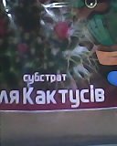 IMG0009A.jpg