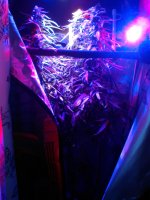 IMG_20180314_094414.jpg