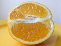 apelsin-b.jpg