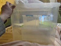 IMG_0467.JPG