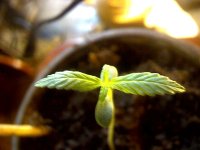 vlcsnap-00012 копия.jpg