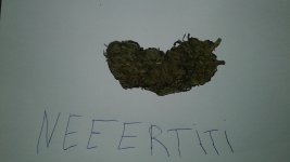 20180227_212939.jpg