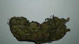 20180227_213234.jpg