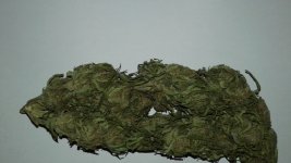 20180227_213244.jpg