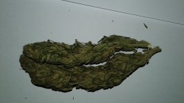 20180227_213258.jpg