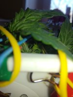 IMG_20180318_122455.jpg