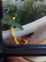 IMG_20180318_123656.jpg